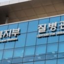 건강보험공단 이미지