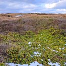 꼬지이야기 이미지