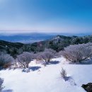 노고단-14 이미지