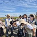 송운초교 이미지