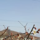 영복농장 이미지