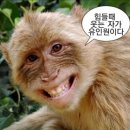 아이쿠미술학원 | 한여름에 사랑이 주인 노릇을 한다