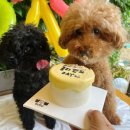 멍냠멍냠 이미지