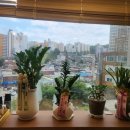 송샘산부인과의원 네이버블로그
