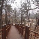 압곡1구 이미지