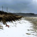 명사십리마을 이미지