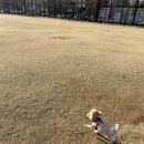 서대전약국 이미지