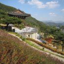 설한