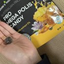 메가폴리스 | 프로폴리스 목에 좋은 캔디 [호주 네이쳐스영 프로메가폴리스 캔디]