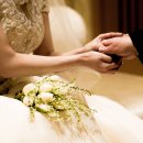 홍연남북결혼 이미지