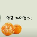 얼마나오렌지
