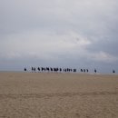 태권도 고수회 이미지