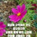 마하빌 이미지
