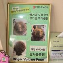 파리바게뜨현진점