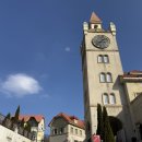 설악목장 | 경기북부아트투어 &#39;아트로드&#39; 후기 - 가평 스위스마을, 양떼목장, 파주 콩치노콩크리트