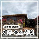 제시카의 제주 | [제주 한경면 숙소] 내돈내산 제주도 감성숙소 추천