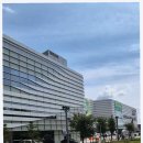 Y식자재마트 | 춘천 커플 여행 필수코스 하나로마트 엔타점 뷰티매대 구경해봤어요