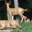 민서농장 이미지