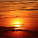 또사고파 이미지