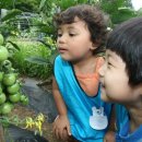 꽃초롱자연학습장 이미지