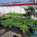 거산농장 이미지