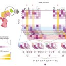 ㈜그린네이처 이미지