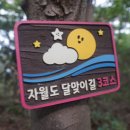 안목섬 Daum카페