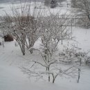 서림농원 이미지