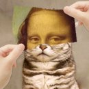 해찬보리밥 이미지