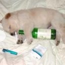 맛나감자탕(기장점) 이미지