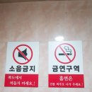 엣지코인노래연습장 이미지