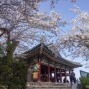 솔향수목원(제3주차장) 이미지