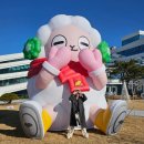 바른별;토리 이미지