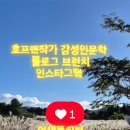 천년호프 네이버블로그
