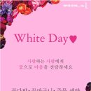 임프레션더꽃