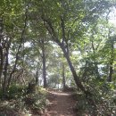 [광주 광산구]광주여대~동자봉(154m)~어등산 석봉(338m)~등용정~삼거리~광주여대 다녀오기(2021/9/24/금 오후) 이미지