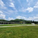 가평 양떼목장 이미지