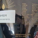 커피오브커피스