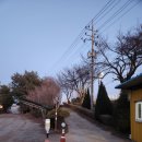 [오송 자동차극장]오송 자동차극장 내돈내산 후기 - 왕과사는남자