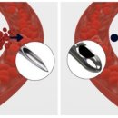 시즈의원 이미지