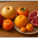 상아배이길 이미지