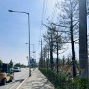 원종센트레빌아파트 | 부천 원종 A2 행복주택, 휴튼5단지 당첨후기 (예비자)