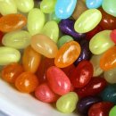 정소반쭈꾸미 이미지