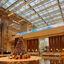 THE HONG C HOTEL Gangneung | 상해 동방명주 뷰 호텔 : 하얏트 온더번드[Hyatt on the bund] 상하이 숙소 컨디션 후기