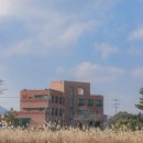 제주여누스테이 이미지