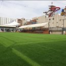 일산애견스쿨 이미지