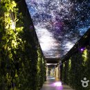 단양-단양-03 이미지