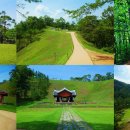 맛자랑본가 이미지