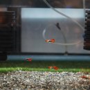 VIP아쿠아카페 이미지