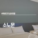 호텔문 | 해운대 해수욕장 2분 컷! 내돈내산으로 다녀온 가성비 호텔 소노문 주차 및 솔직 후기
